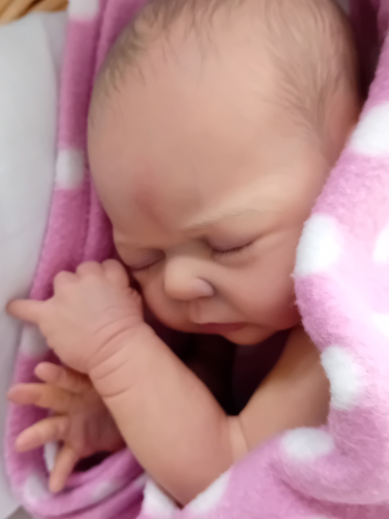 Quinn by Phil Donnelly